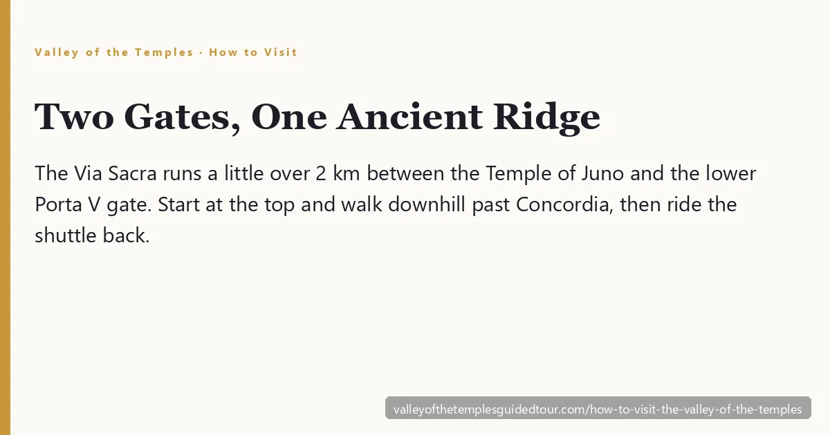 How to visit the Valley of the Temples — the Doric columns of the Temple of Concordia along the Via Sacra in Agrigento, Sicily